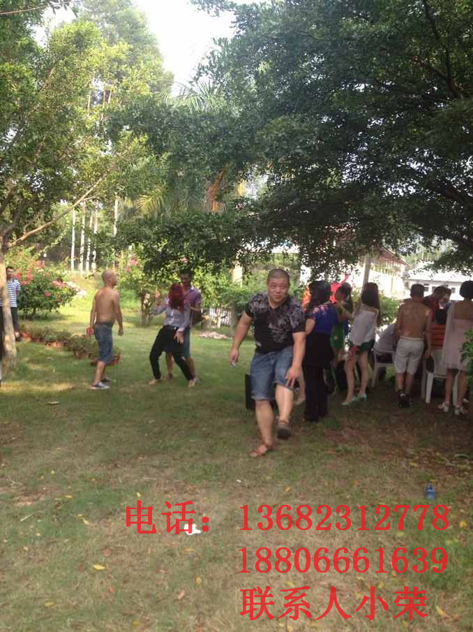 文化艺术传播有限公司相聚南粤开心农场