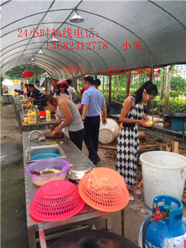 深圳野炊哪里好