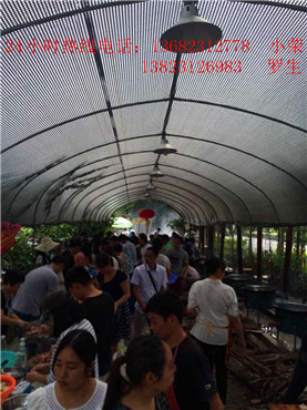 深圳农庄生态园