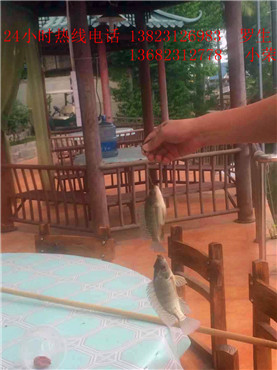 深圳休闲钓鱼基地