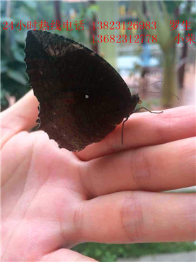 朋友相聚南粤开心农场，举杯豪饮笑谈人生！