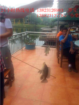 深圳钓鱼的地方在哪