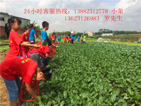 超宝亲子团第一季在南粤开心农场拍摄。