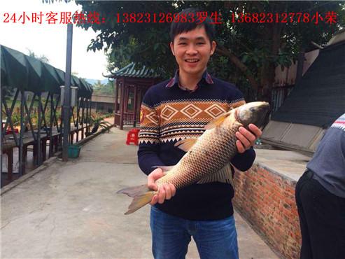 深圳最大的农家乐欢迎亲们的到来。