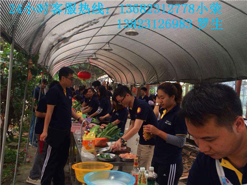 深圳哪里有野炊