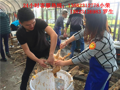 深圳农家乐野炊