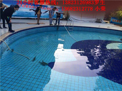 深圳周边一日游
