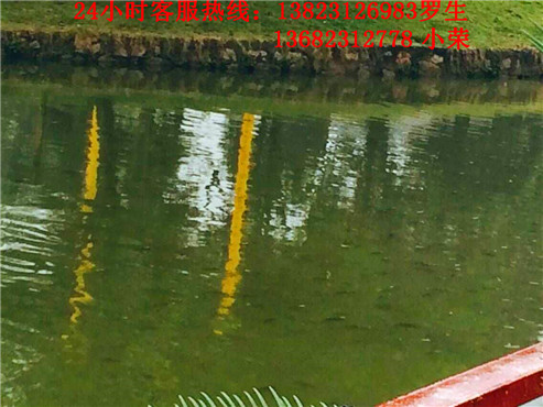 深圳周边好玩的景点