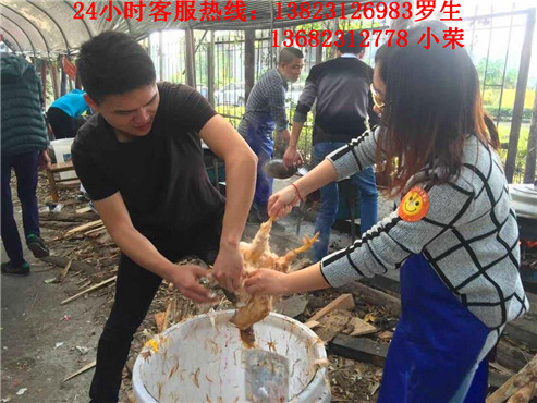 深圳农家乐旅游