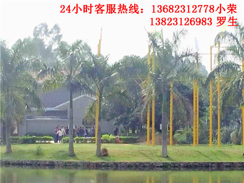 深圳拓展公司哪家好