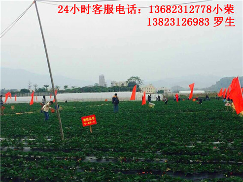 农家乐