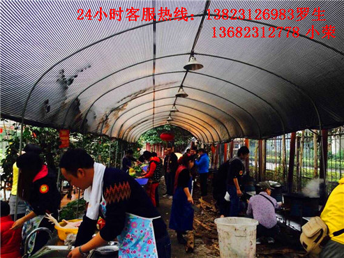 亲们在南粤开心农场体验农家乐生活。