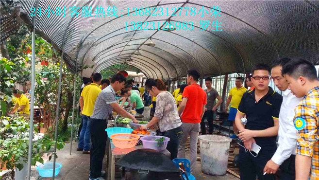 深圳哪里有野炊