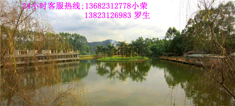 深圳农家乐野炊