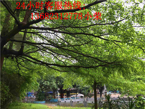 深圳农家乐生态园