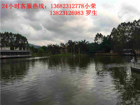 深圳一日游推荐