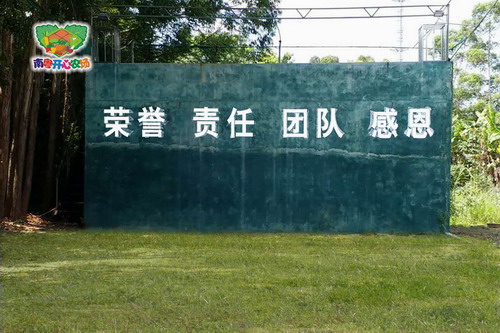 卓越拓展-毕业墙感恩课程