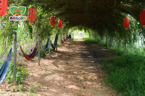 大自然休闲吊床