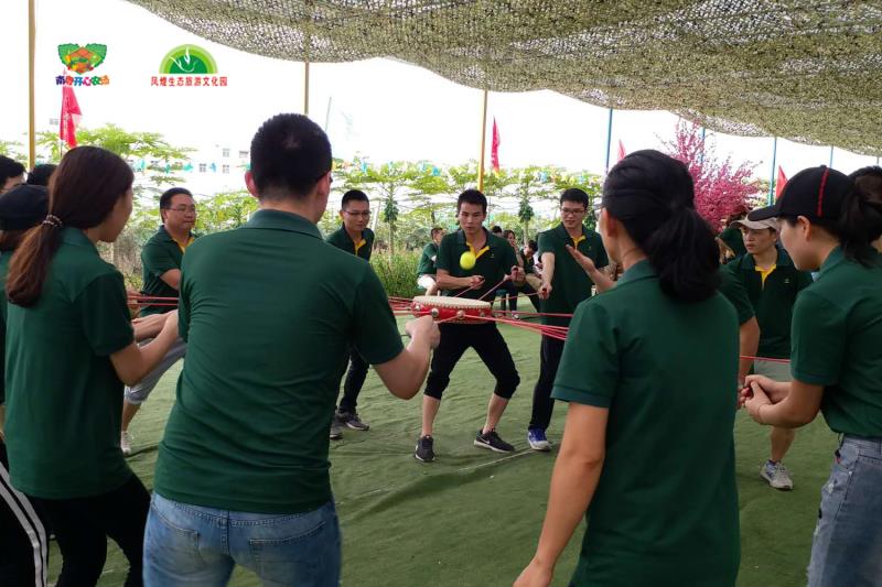 “携手奋进，我们不一样”尽在南粤开心农场